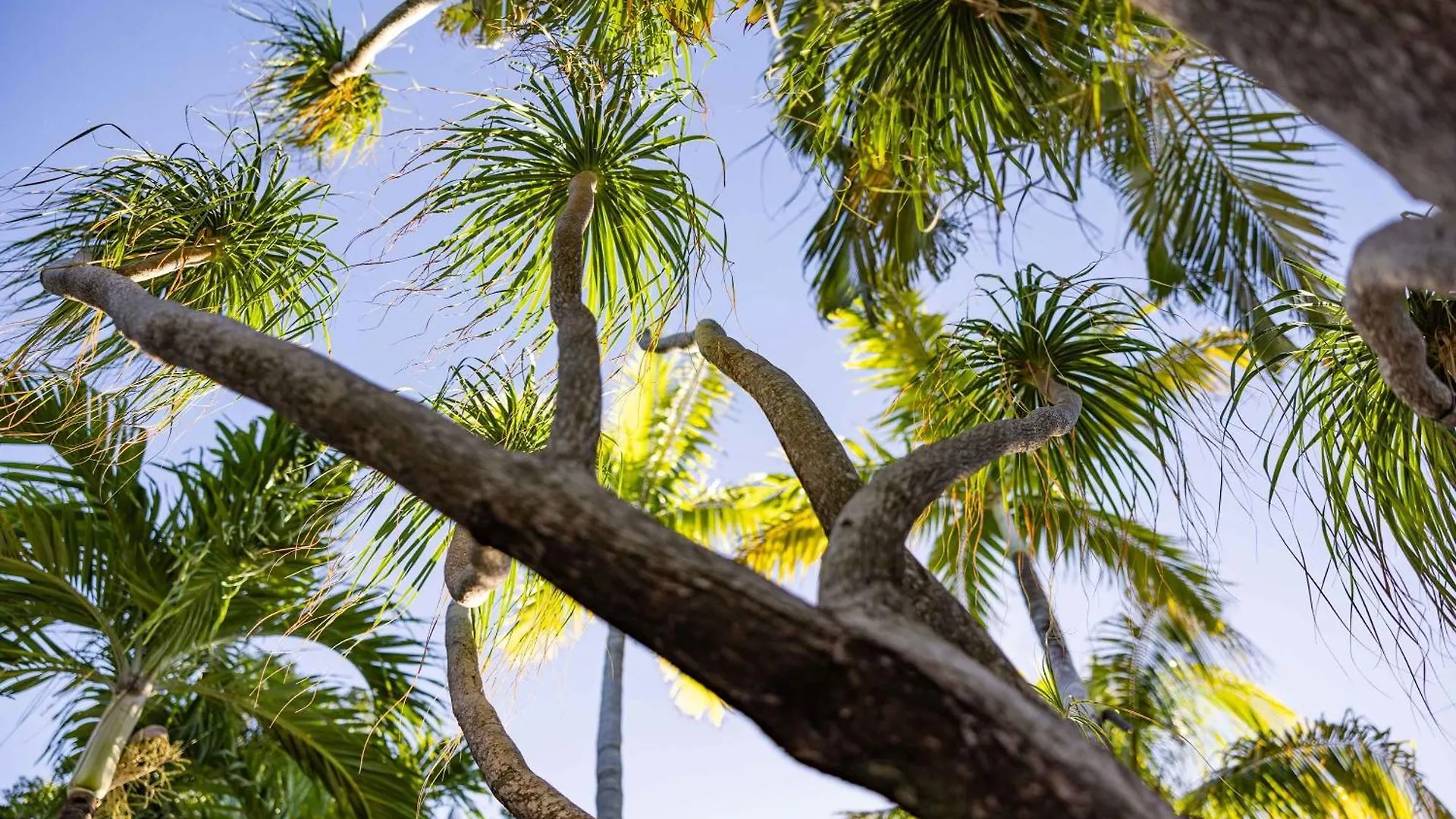 Holiday home New Hidden Oasis- Waterfall Pool Close To Beach Key West